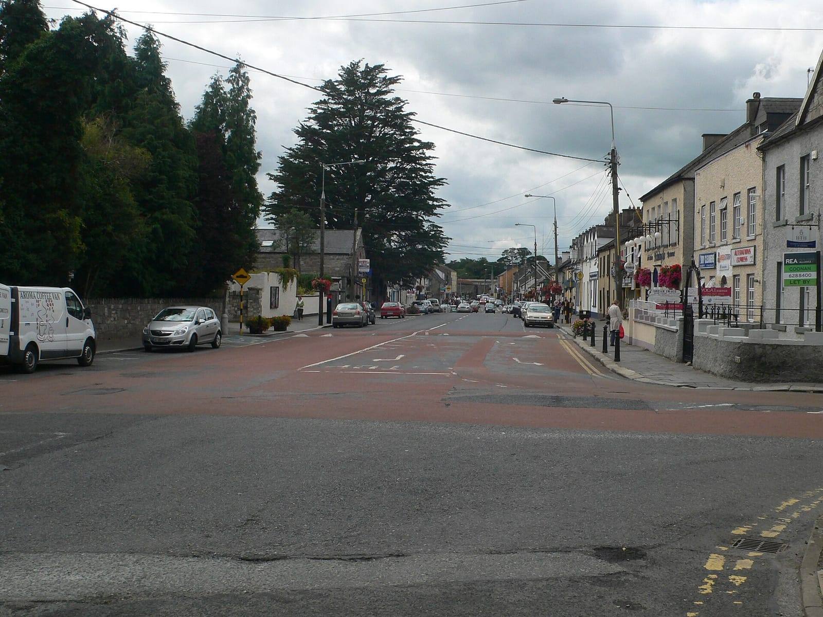 Looking down Celbridge's wide Main Street, with two-storey shops and houses on the right and tall trees on the left under a grey sky.