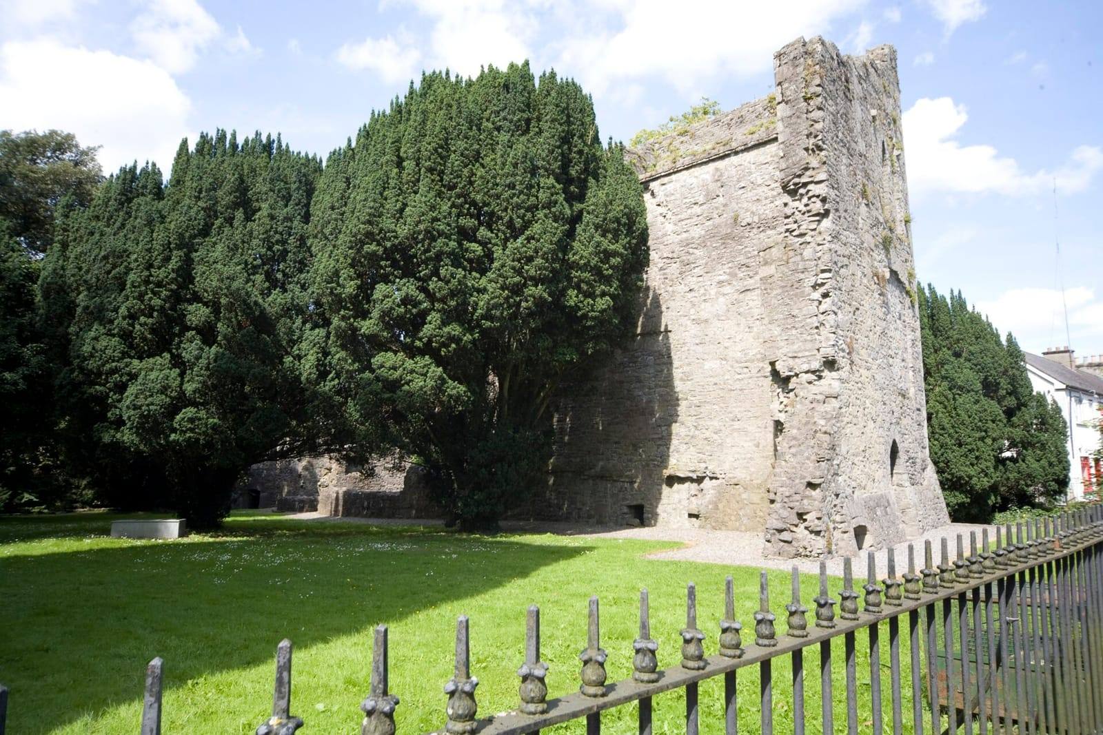 The ruined stone keep of Maynooth Castle beside dark yew trees, seen across a sunlit lawn and iron railings.